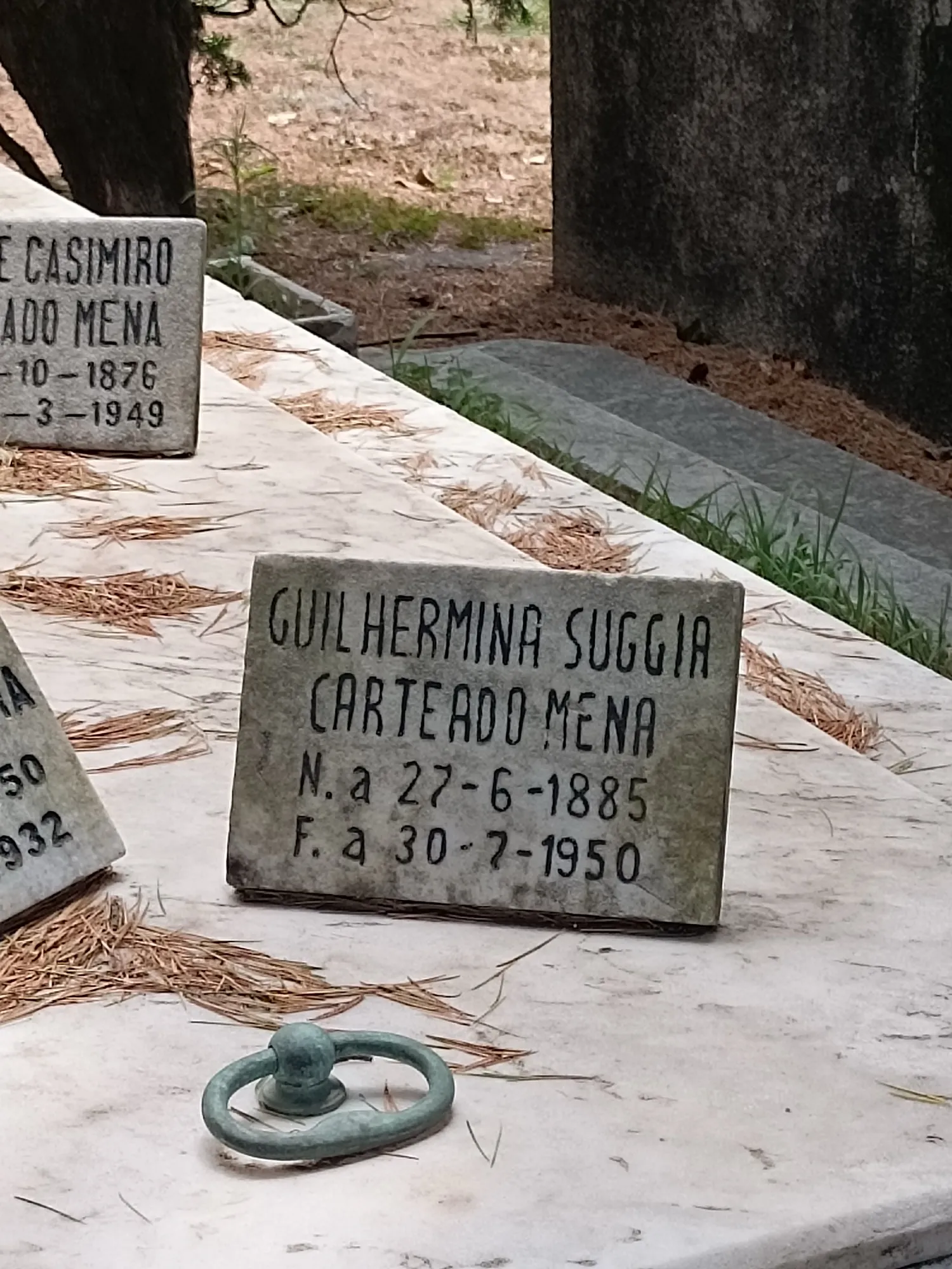 A lápide de Guilhermina Suggia (1885–1950), entre agulhas de pinheiro.